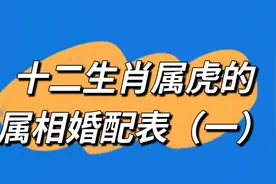 十二生肖属虎的的属相婚配表（一）视频封面