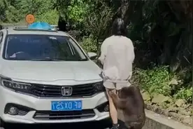 网友拍到一只流氓猴子，一直抓着女子的腿不放！视频封面
