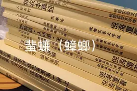 倪海厦分享蜚蠊（蟑螂）还有这等功效