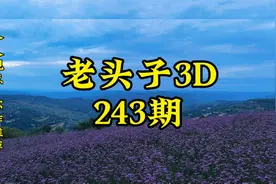 老头子3D第243期