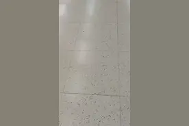 宝安机场视频封面