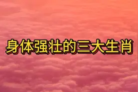 身体强壮的三大生肖视频封面