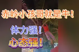 这就是上了央视新闻的赤岭小孩哥，这身手适合当兵，心理素质超强视频封面