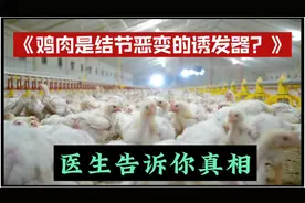 鸡肉是结节恶变的诱发器#特别是女性乳房和子宫部位#激素鸡惹的祸