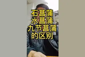 菖蒲的正确选择和区别视频封面