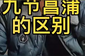 菖蒲的正确选择和区别视频封面