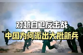 1979年中越战争，中国至少有200个师，为何让大批新兵上战场？