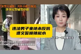 朝违法后坐地男子喷辣椒水的民警被停职视频封面