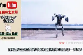 连马斯克都点赞的宇树“B2-W机器狗”，最新视频火爆全网视频封面