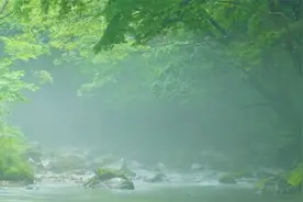 站桩30分钟纯音乐伴奏：自用养生修炼必备视频封面