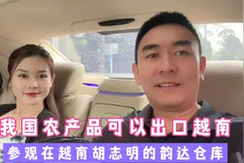 中越贸易发展势头迅猛，想做越南贸易的就要马上布局了视频封面
