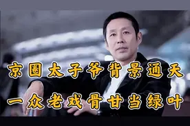 背景通天的京圈太子爷，有的出道即巅峰，有的是娱乐圈反向风向标