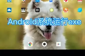 【教程】在Android系统上运行exe