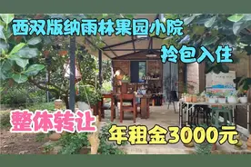 西双版纳雨林果园小院，整体转让，年租金3000元 ，拎包入住视频封面