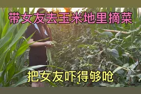 小伙带女友去玉米地里摘吃的，却把女友吓得够呛以为要出什么事情视频封面