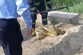 敬职敬业胆大心细的天津消防员小哥哥们河中打捞… 结果虚惊一场视频封面