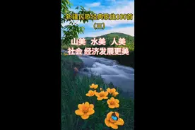 新疆民歌经典歌曲100首视频封面