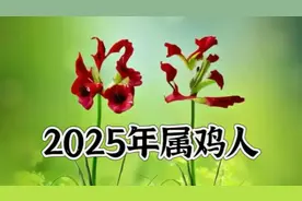 2025年属鸡人，看属鸡的运程，快来一起舞动春天吧！🌸🐔视频封面