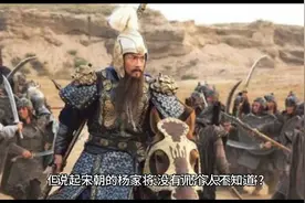 宋朝的杨家将的奇闻异事视频封面