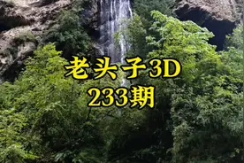 老头子3D第233期