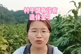 村干部退休后有没有退休金？村干部没有退休政策，更没有退休金！视频封面