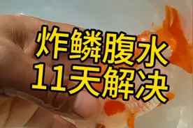 炸鳞腹水不是绝 症，中 药治疗轻松可以治愈 不服来挑战视频封面