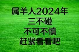 属羊人2024年三不碰, 不可不慎，赶紧看看吧？视频封面