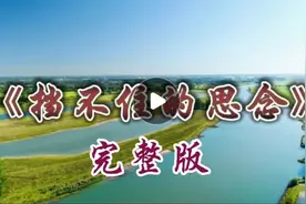 顶级纯音乐《挡不住的思念》无损音质超美旋律，如同清泉汩汩流淌视频封面