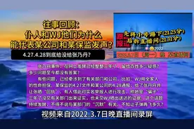往事回顾：仆人和WJ他们为什么能代表某公司和某保监发声？