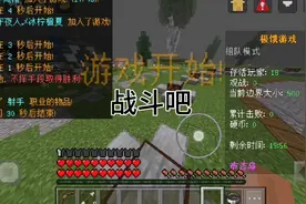 我的世界，布吉岛小游戏，网络游戏