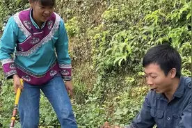 这块地栽的地萝卜很甜，挖了一大半背回去炒吃视频封面