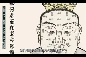 双下巴的人财运 子孙运都好视频封面