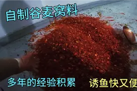 一款经典自制谷麦窝料，整个制作过程详细分享！