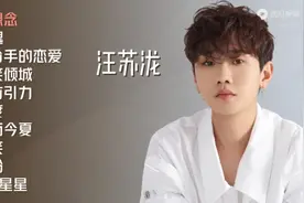 汪苏泷最好听的十首歌视频封面
