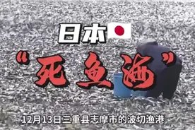 日本海岸出现千吨死鱼潮，排放核污水的危害已经出现了视频封面