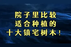 俗话说：门前种树，发家致富。院子里适合种植的十大镇宅宝树！视频封面