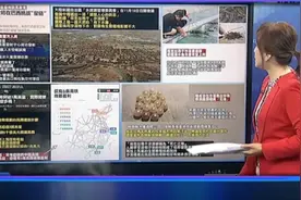 赖岳谦新疆的三文鱼真的很好吃，现在新疆还能种珍珠呢！视频封面