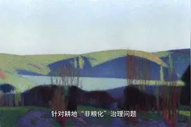 关于耕地“非粮化”的问题。希望能帮大家长点知识视频封面