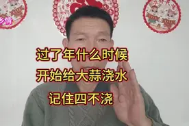 过了年什么时候给大蒜浇水？记住四不浇，别拿着不当回事