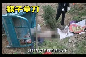 民间故事猴子拿刀视频封面