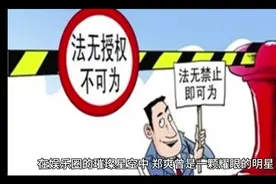 "郑爽：从公众宠儿到法网难逃，究竟隐藏了什么？"视频封面