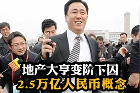 地产大亨变阶下囚，2.5万亿人民币概念。