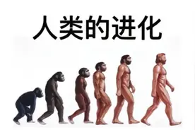 人类起源的演化过程