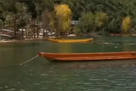 风行万里视频封面