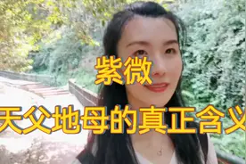 紫微：佛，是修到最高境界的人；再往上，真元世界，是真正的神。视频封面