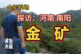 金矿石中发现自然金。矿脉储量丰富，金银铜多种金属元素共生视频封面