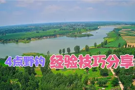 夏季4点野钓经验技巧，出钓时间段决定钓深与钓浅，无风不钓鱼视频封面