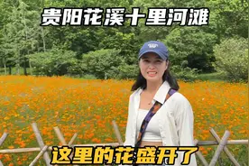 自驾贵阳花溪，十里河滩的花又开了，这里真的很适合过旅居慢生活视频封面