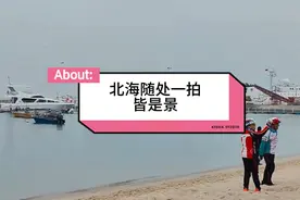 等到岁月把皱纹缝成一朵花，我们挽着手把岁月过成一幅画视频封面