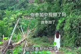 好听的歌曲：异客。那远山呼唤我，我曾千百次路过——听歌赏景